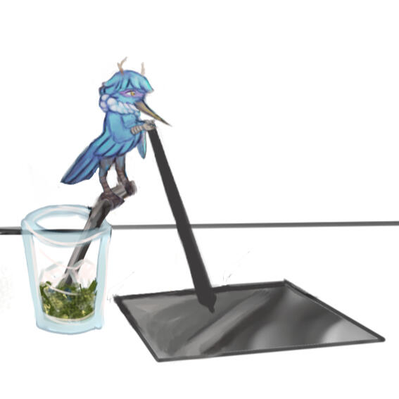 ↓↓Terms of service↓↓